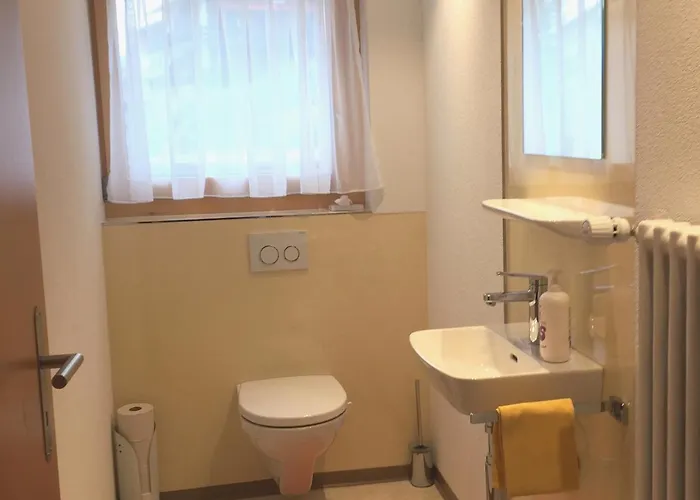 Apartment Sunnegga Grachen