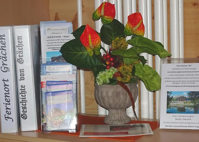 Apartment Sunnegga *