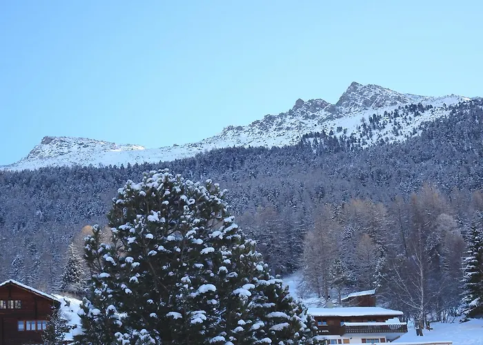 Sunnegga Apartment *